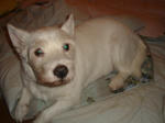 DSC05705.JPG
