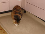 DSC05677.JPG