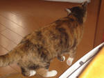 DSC05676.JPG
