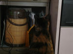 DSC05674.JPG
