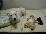 DSC05788.JPG