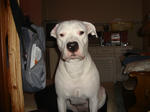 DSC05726.JPG