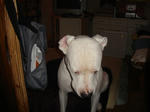 DSC05725.JPG