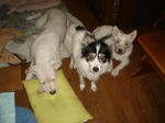 DSC05833.JPG
