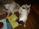 DSC05832.JPG