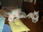 DSC05834.JPG