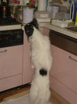 DSC05869.JPG