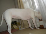 DSC05731.JPG
