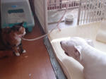 DSC05849.JPG