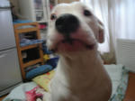 DSC05949.JPG
