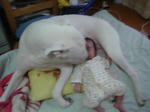 DSC05952.JPG