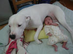 DSC05953.JPG