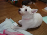DSC05954.JPG