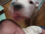 DSC05947.JPG
