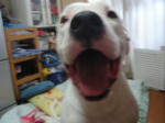 DSC05950.JPG