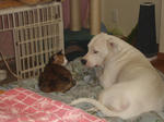 DSC05449.JPG