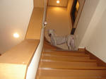 DSC02931.JPG