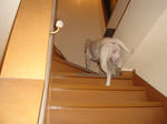 DSC03138.JPG