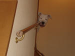 DSC03140.JPG