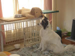 DSC05460.JPG