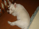 DSC05837.JPG