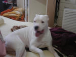 DSC05906.JPG