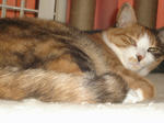 DSC05973.JPG