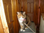 DSC05960.JPG