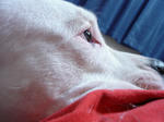 DSC04218.JPG