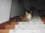 DSC03079.JPG