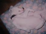 DSC03100.JPG