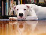 DSC00089.JPG