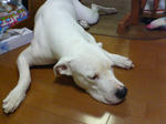 SN360045.JPG