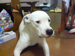 SN360046.JPG