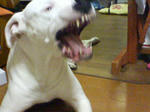 SN360047.JPG