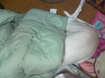 SN360069.JPG