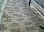 SN360155.JPG