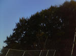SN360371.JPG