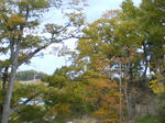 SN360384.JPG