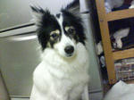 SN360460.JPG