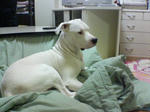 SN360541.JPG