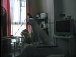 STILL0005.jpg