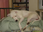 DSC00112.JPG