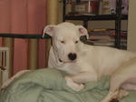 DSC00108.JPG
