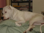 DSC00107.JPG