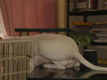DSC00113.JPG