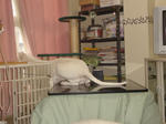 DSC00114.JPG