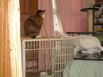 DSC00115.JPG