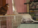 DSC00116.JPG