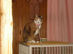 DSC00117.JPG